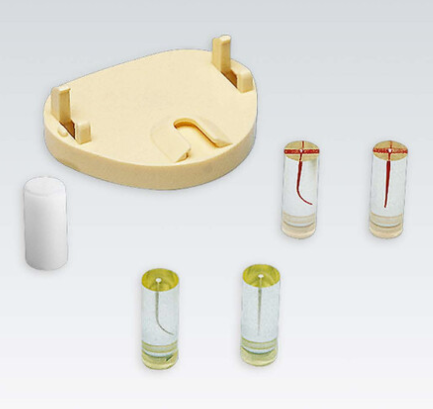 Endodoncia